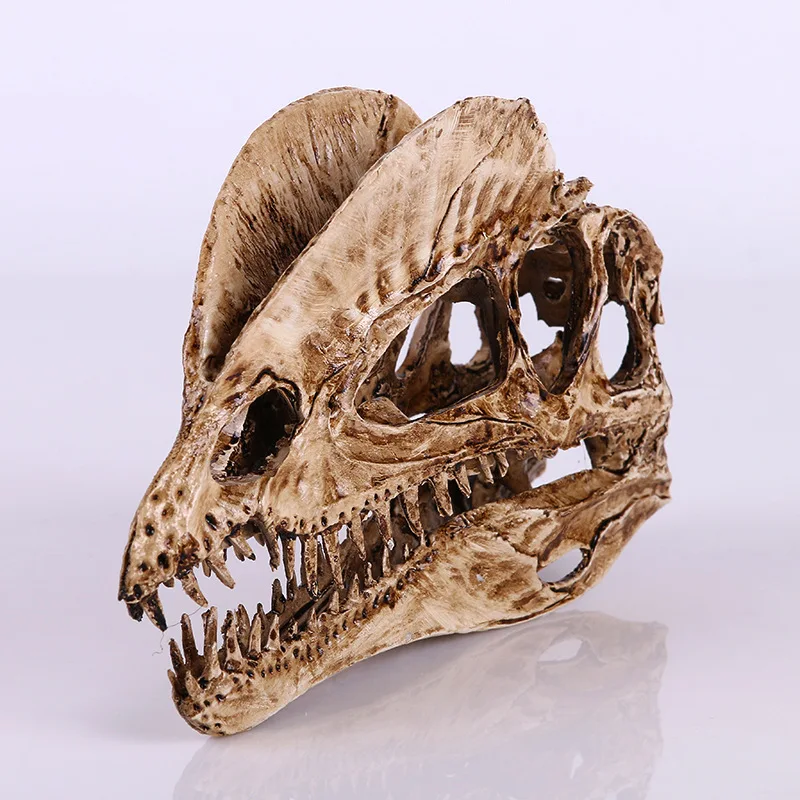 Dinosaur And Craft - [MGT] 樹脂クラフト装飾恐竜の頭蓋骨の彫像クリエイティブバー装飾頭蓋骨の彫刻クリエイティブホーム装飾品