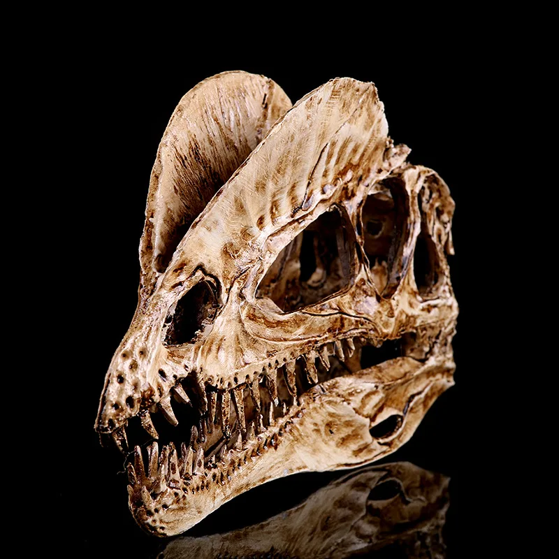 [MGT] 樹脂クラフト装飾恐竜の頭蓋骨の彫像クリエイティブ - Dinosaur And Craft のレビューと価格