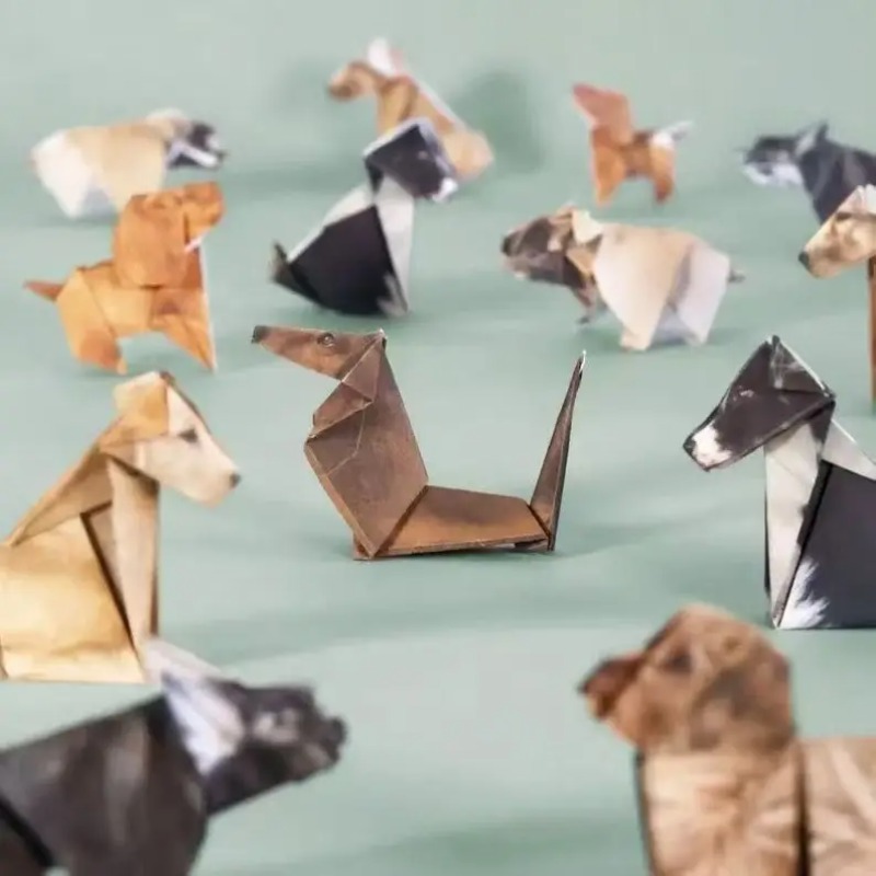 50枚入りDIY折り紙キット 猫 犬 恐竜 3D動物クラフト - Dinosaur And Craft のレビューと価格